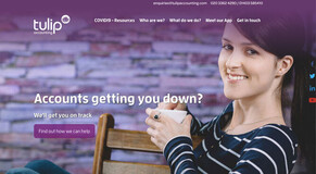 Tulip Accounting