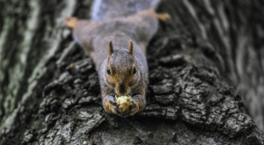 Tools to assess your website&#039;s design