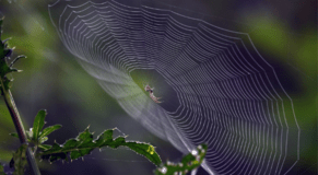 Bad habits applied to web design