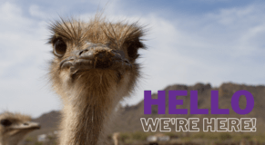 Should my business be doing email marketing?