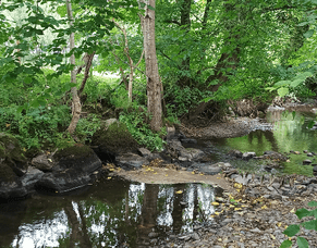 Experience the beautiful gardens at Hafannedd