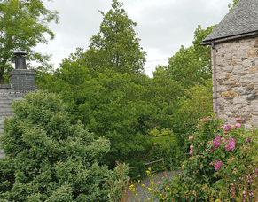 Why holiday abroad when a staycation is all you need?