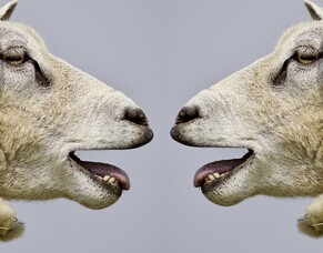 Why talking to yourself is very much NOT a sign of madness&hellip;