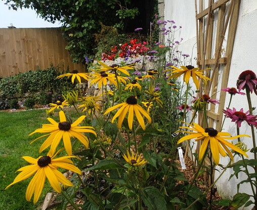 Ecological Garden Management