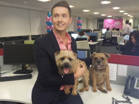 Sean Batty in the office with border terriers Rosie & Jock