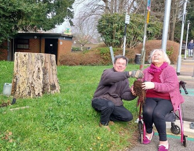 Gillian Bailey and Steve Poole plant one of the heritage apple trees