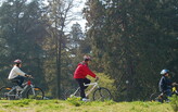 Three people riding bikes through a green open space