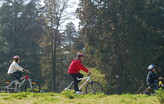 Three people riding bikes through a green open space