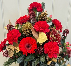 Christmas Tree Pot Arrangement - &pound;45