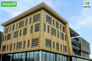 ACCOYA WOOD