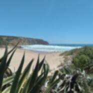 Check calendar & book now