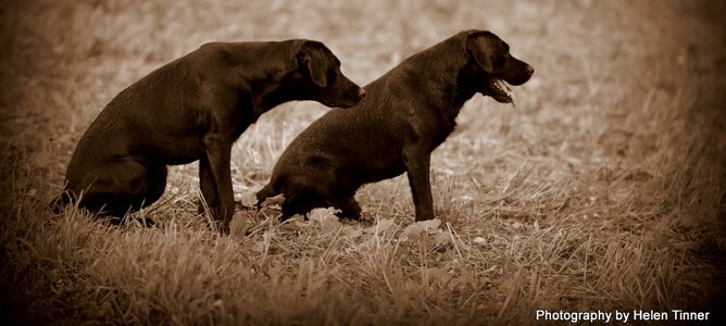 What happened there?