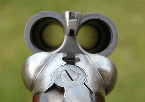 how a gun might capture, hold and build vision is of great importance