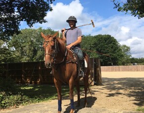 All about Harry - Part 1