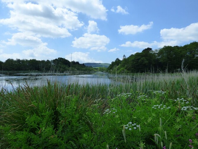 Our secret - The little flight pond