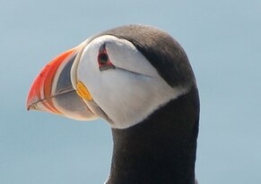 2025 in Northumberland