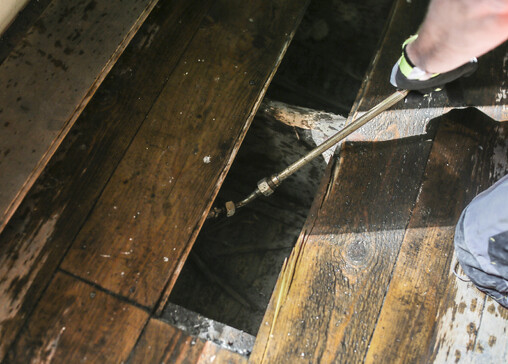 example of dry rot in timber