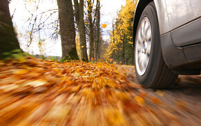 Autumn Driving Tips