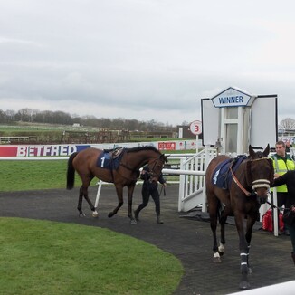 Sedgefield Racecourse