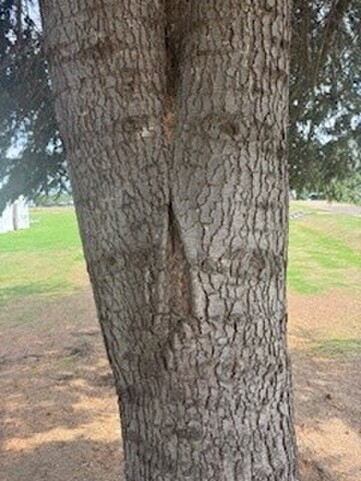 Sun & Moon Wellness Festival