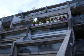 One of London's most influential post war housing estates is situated near Swiss Cottage, in the western reaches of the borough of Camden