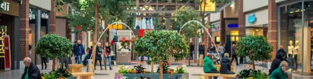 Picture of Mall