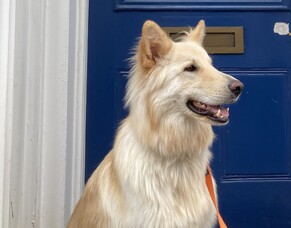 July Newsletter 2024