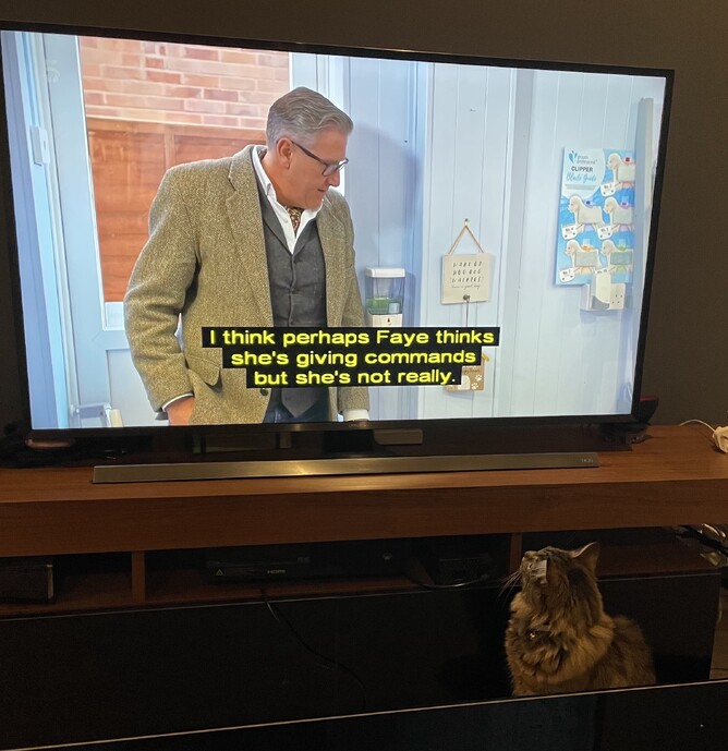 Who is in command? Cat investigates big screen sound quality.