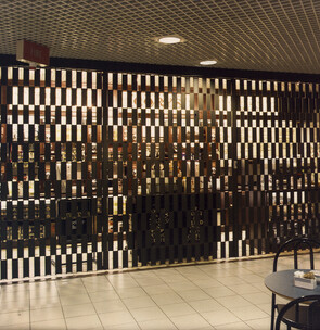 retractable security grilles