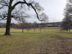 What are you resisting?