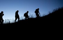 Product Support - Need any help with understanding any of the products we supply or have any queries regarding your order? You can email us anytime or telephone, for support.