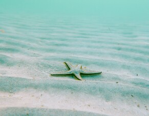 Dealing with disruption