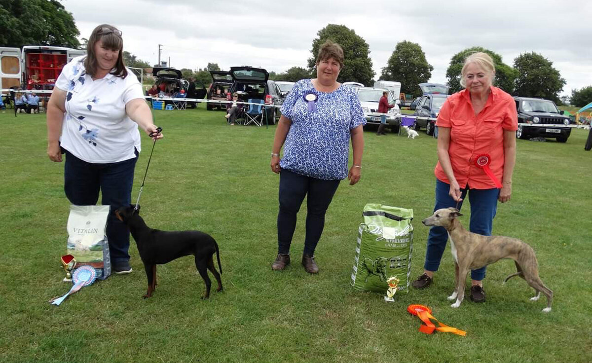 Bardney & Potterhanworth Dog Show raising funds for Border Terrier