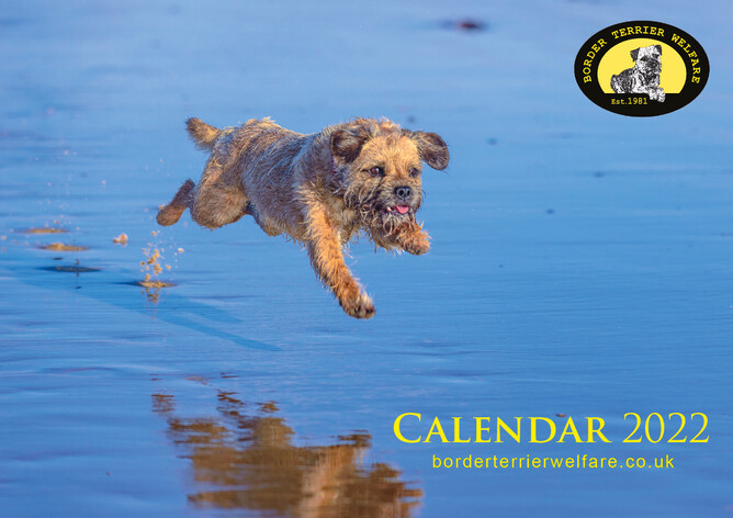 2022 BTW Calendar now available for pre-order! | Border Terrier Welfare