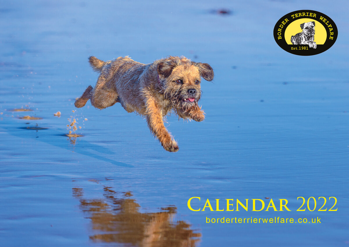 2022 BTW Calendar now available for preorder! Border Terrier Welfare