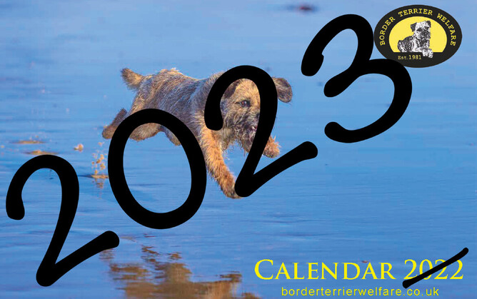 Border Terrier Welfare 2023 Calendar photocall | Border Terrier Welfare