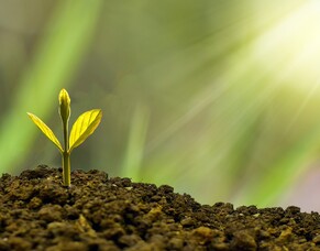 New National Insurance &lsquo;top-up&rsquo; deadline extended again