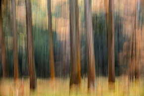 Vol liefde naar boven kijken