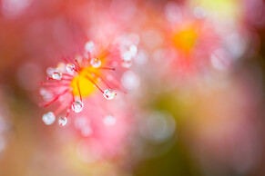 Jongeren in hun kracht zetten