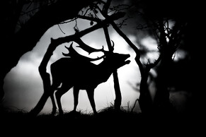 Als je God grootmaakt dan worden alle andere dingen klein