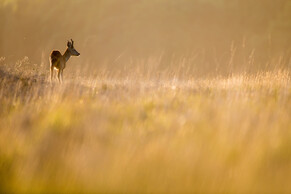 Aansprekend aanspreekbaar