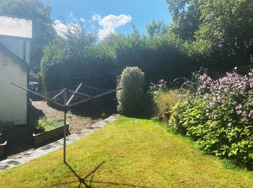 Laurel hedge - before