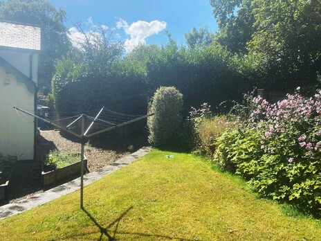 Sunshine, Showers, and a Laurel Hedge: A Day in Ivybridge