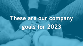 Our Company Goals for 2023