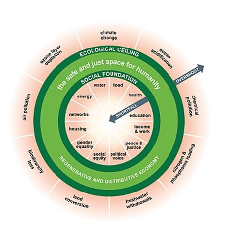 Donut Economics theory illustrated