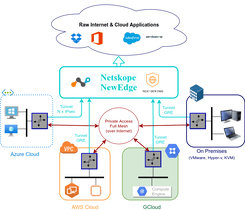 CSCs for Netskope with PriCPA