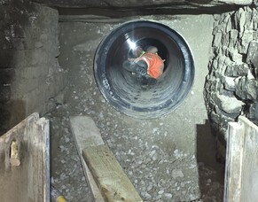 Professional Development