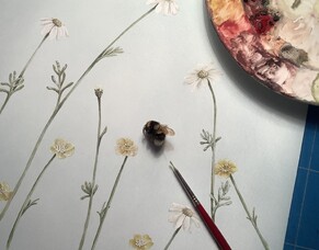 The Borders Art Fair 2024