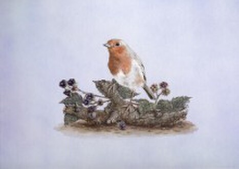 Wildlife artist, Northumberland