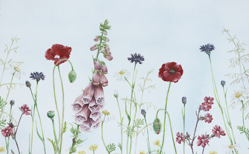Flowers by Jane Harbottle Artist